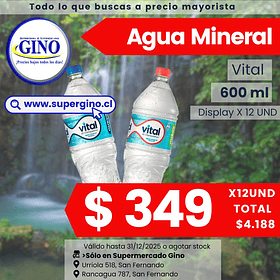 AGUA MINERAL VITAL C/GAS 600ml. x 12      (144)