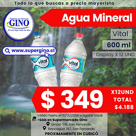 AGUA MINERAL VITAL C/GAS 600ml. x 12      (144)