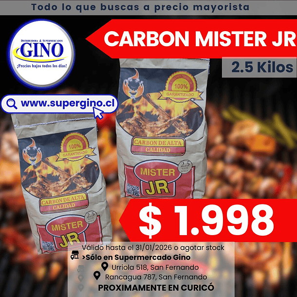CARBON VEGETAL MISTER JR 2,5 KILOS (P 200)         1