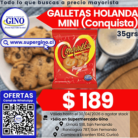 GALLETA HOLANDA MINI CONQUISTA 35grs     (40)