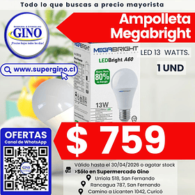 AMPOLLETA LED MEGABRIGHT 13W   (64)               