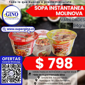 SOPA INSTANT. MOLINOVA CARNEPIC POTE 94g.(12)(P64)