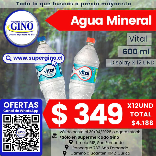 AGUA MINERAL VITAL C/GAS 600ml. x 12      (144) 1