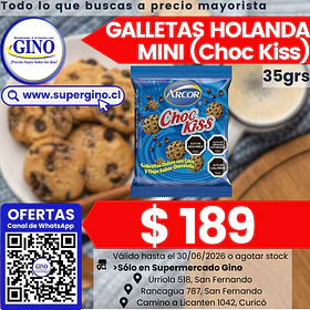 GALLETA HOLANDA MINI CHOCO KISS 35grs.      (40)
