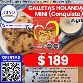 GALLETA HOLANDA MINI CONQUISTA 35grs     (40)
