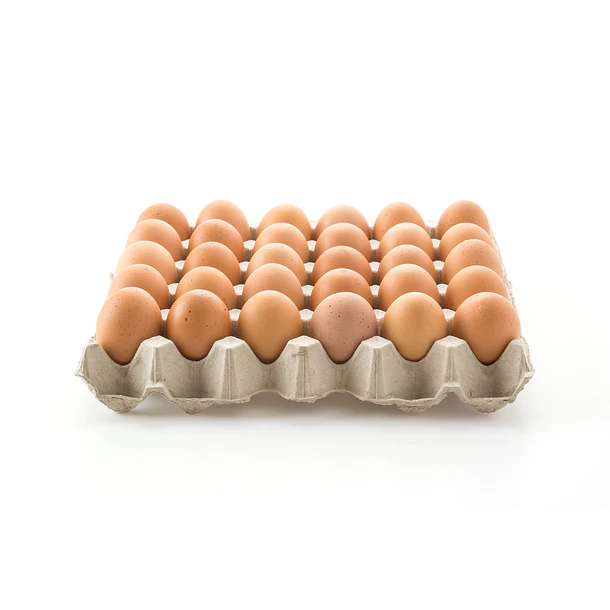 HUEVOS COLOR NACIONAL PRIMERA x 30un.(CJ.x 6)     