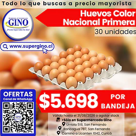 HUEVOS COLOR NACIONAL PRIMERA x 30un.(CJ.x 6)     
