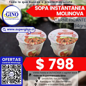 SOPA INSTANT. MOLINOVA CARNEPIC POTE 94g.(12)(P64)