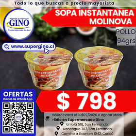 SOPA INSTANT. MOLINOVA POLLO POTE 94g. (12) (P 64)