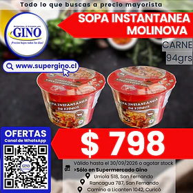 SOPA INSTANT. MOLINOVA CARNE POTE 94g. (12) (P 64)