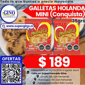 GALLETA HOLANDA MINI CONQUISTA 35grs     (40)