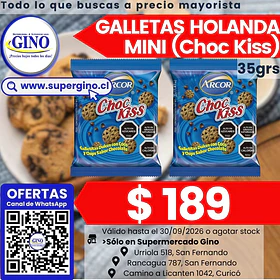 GALLETA HOLANDA MINI CHOCO KISS 35grs.      (40)