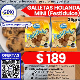 GALLETA HOLANDA MINI FESTIDULCE 35grs     (40)