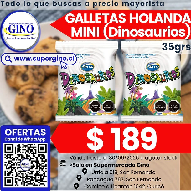 GALLETA HOLANDA MINI DINOSAURIO 35grs.  (40) 1