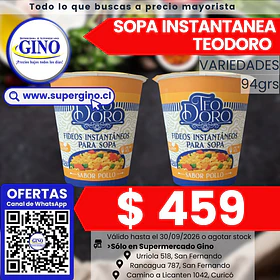 SOPA INSTANT. TEODORO POLLO POTE 65grs. (12)      