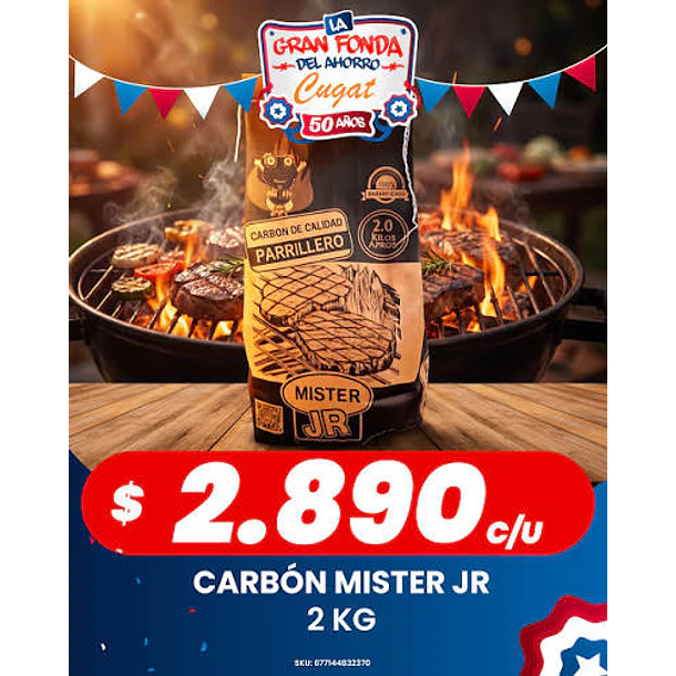 CARBON VEGETAL MISTER JR 2 KILOS  (P 180)         