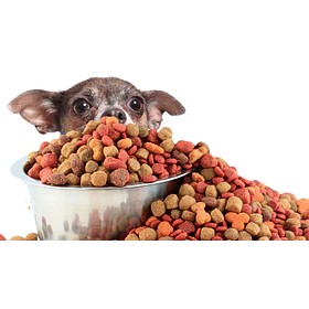 ALIM. PERRO REENVASADO 2 KILOS                    