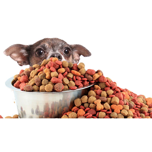 ALIM. PERRO REENVASADO 2 KILOS                    