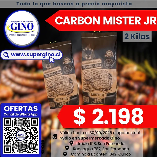 CARBON VEGETAL MISTER JR 2 KILOS  (P 180)         