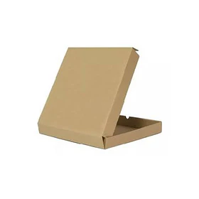 CAJA PIZZA CHICA DPS 24x24 NATURAL UNIDAD (50)