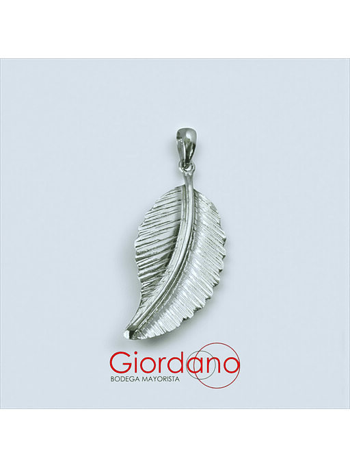 Colgante de Pluma  1