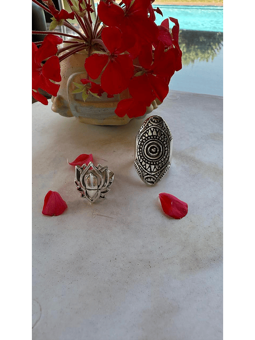 CITAS PARA ATENCION PERSONALIZADA 1