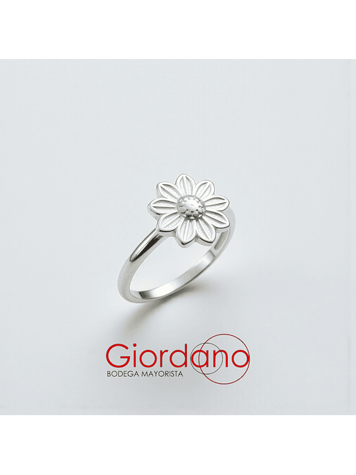 Anillos Minimalistas  13