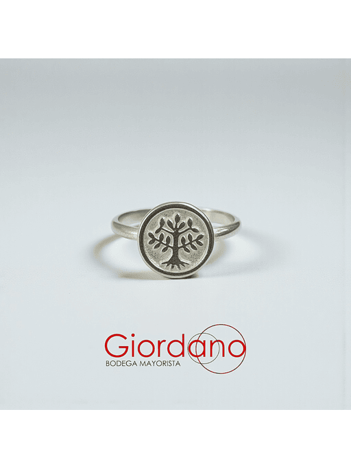 Anillos Minimalistas  12