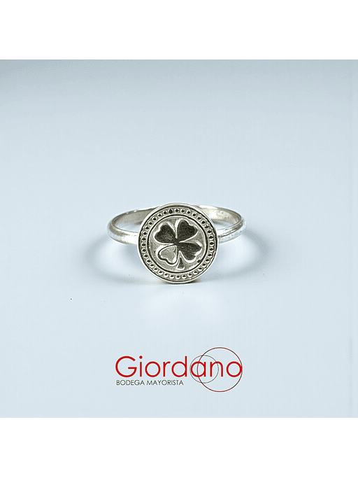 Anillos Minimalistas  10