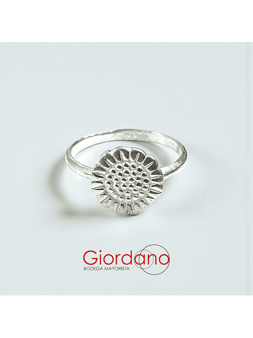 Anillos Minimalistas  6