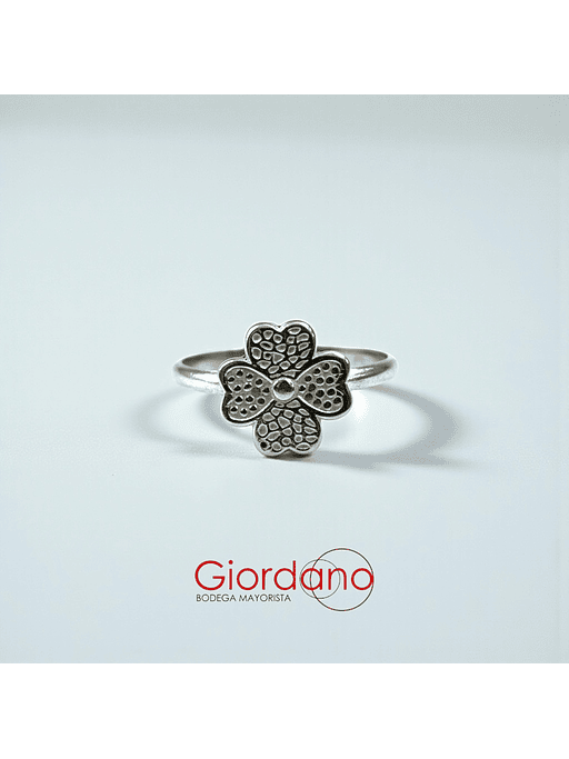 Anillos Minimalistas  2