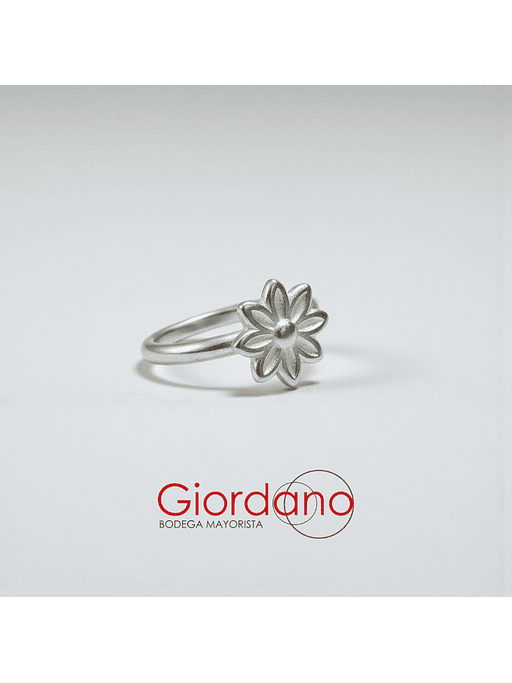 Anillos Minimalistas  11