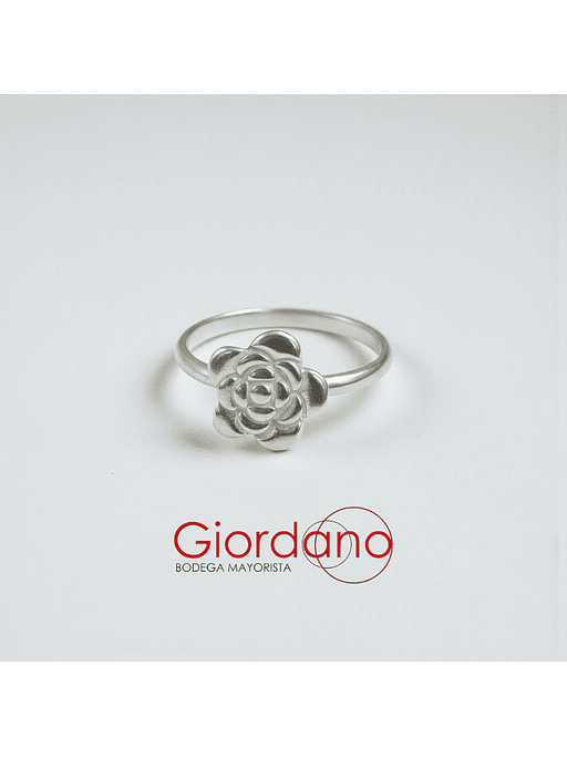 Anillos Minimalistas  8