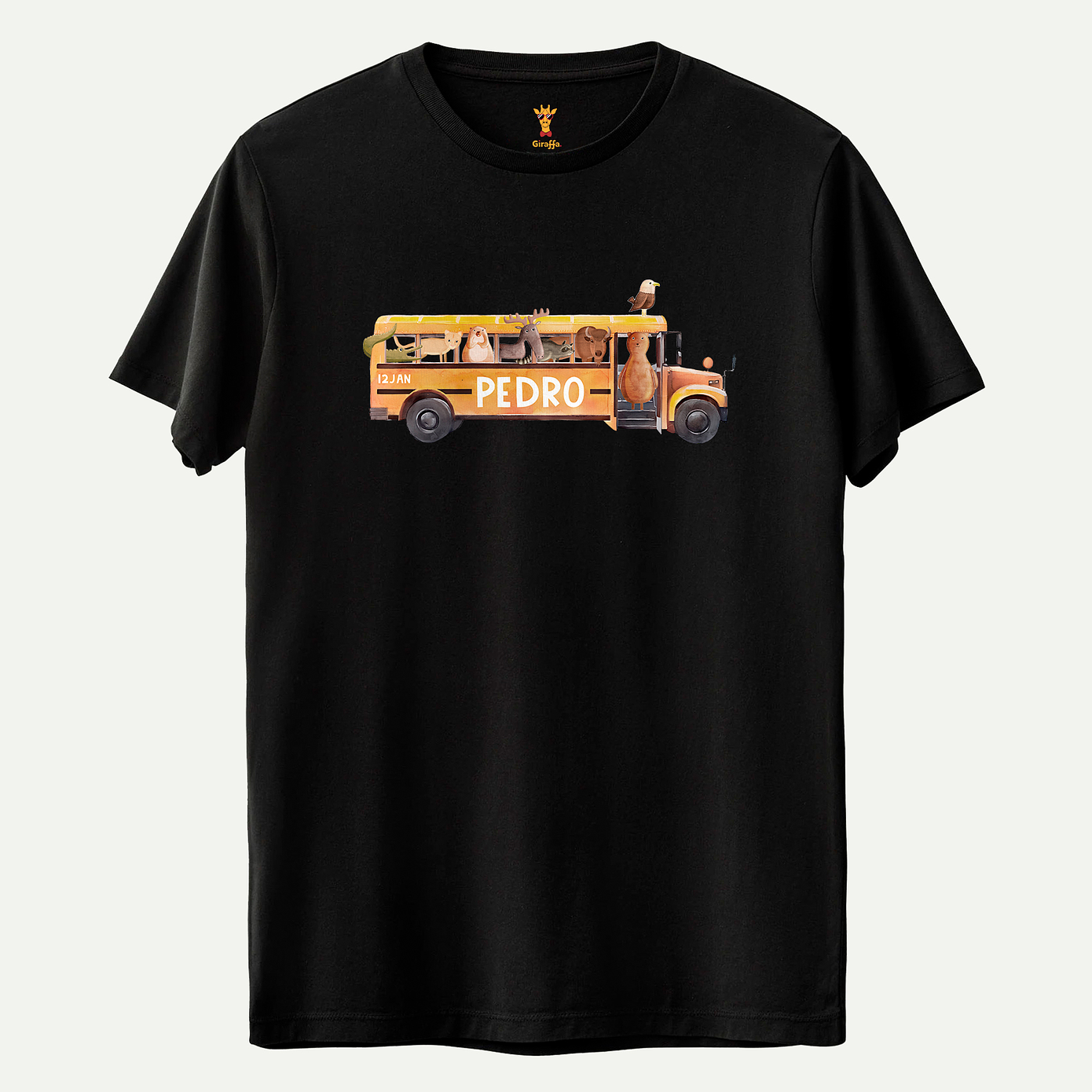 Autocarro escolar USA 3