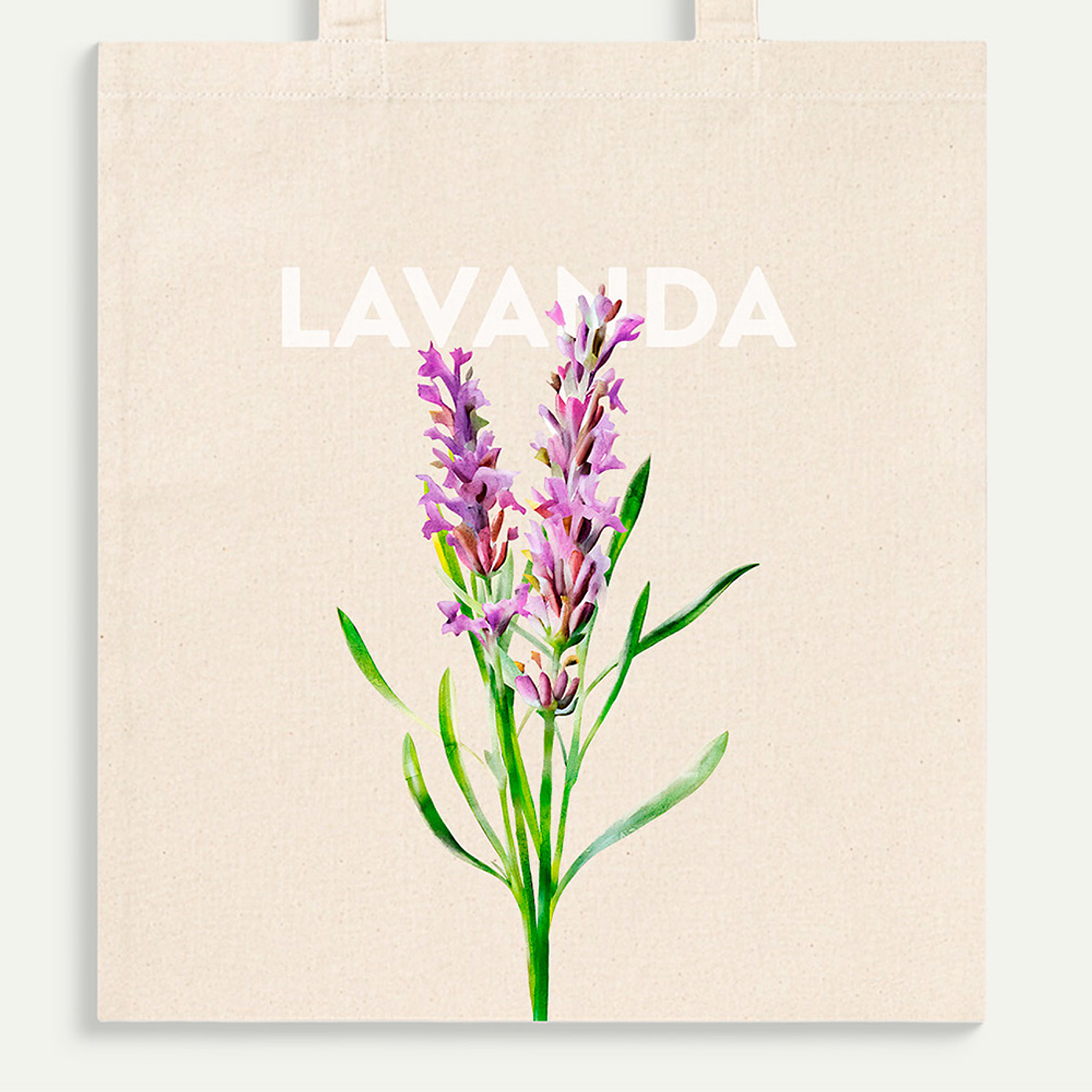 Lavanda portuguesa 2