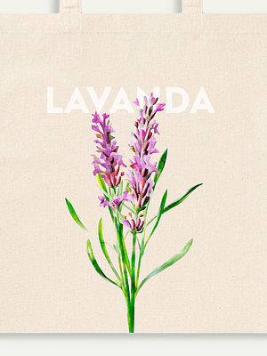 Lavanda portuguesa