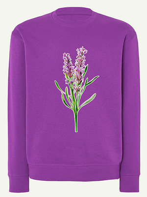 Lavanda-sweat