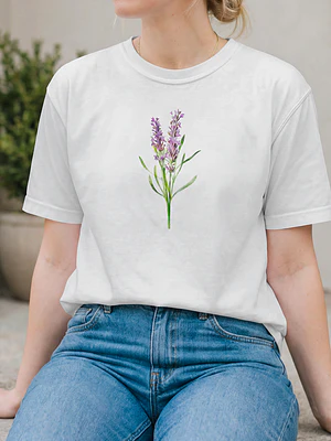 Lavanda