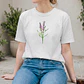 Lavanda - Thumbnail 1