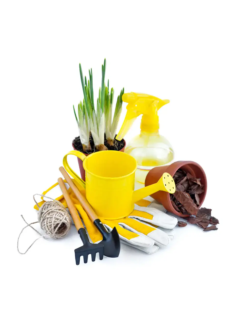 Demo - Kit de herramientas de jardinería 2