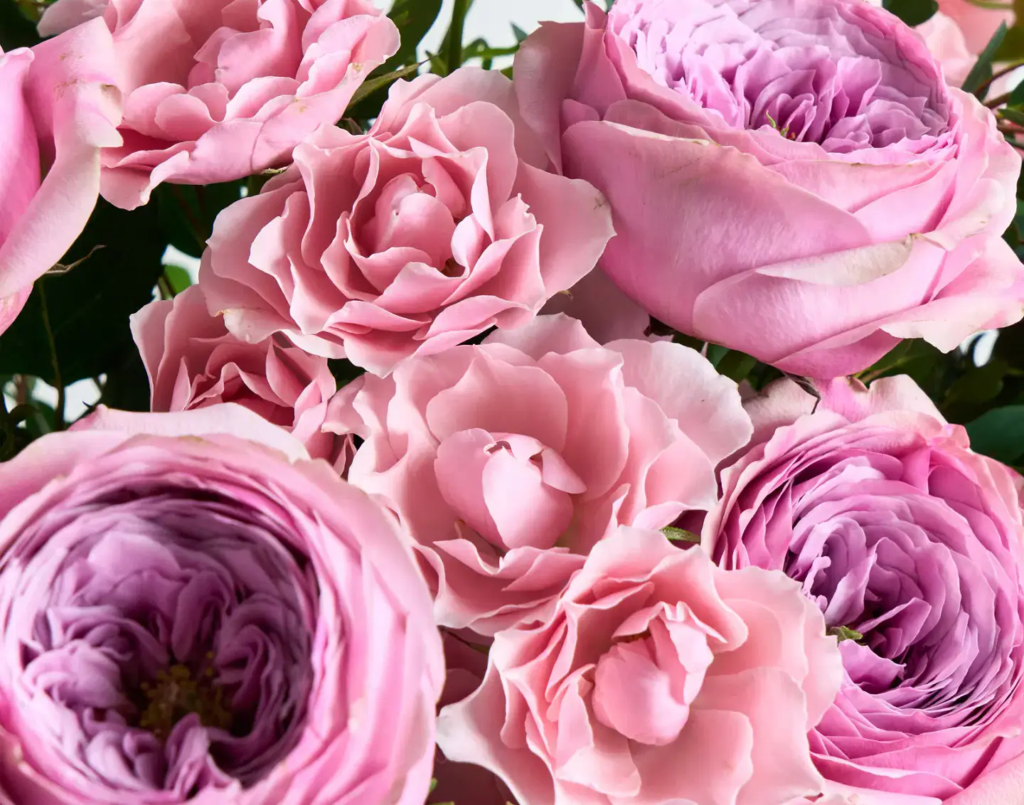 RAMO DE ROSAS ROSA 4