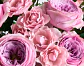 RAMO DE ROSAS ROSA - Miniatura 4