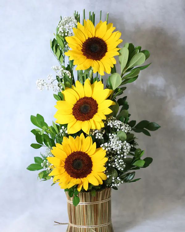 16 GIRASOLES 