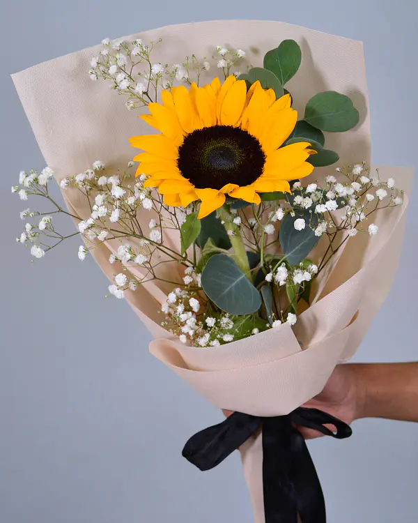 24 GIRASOLES