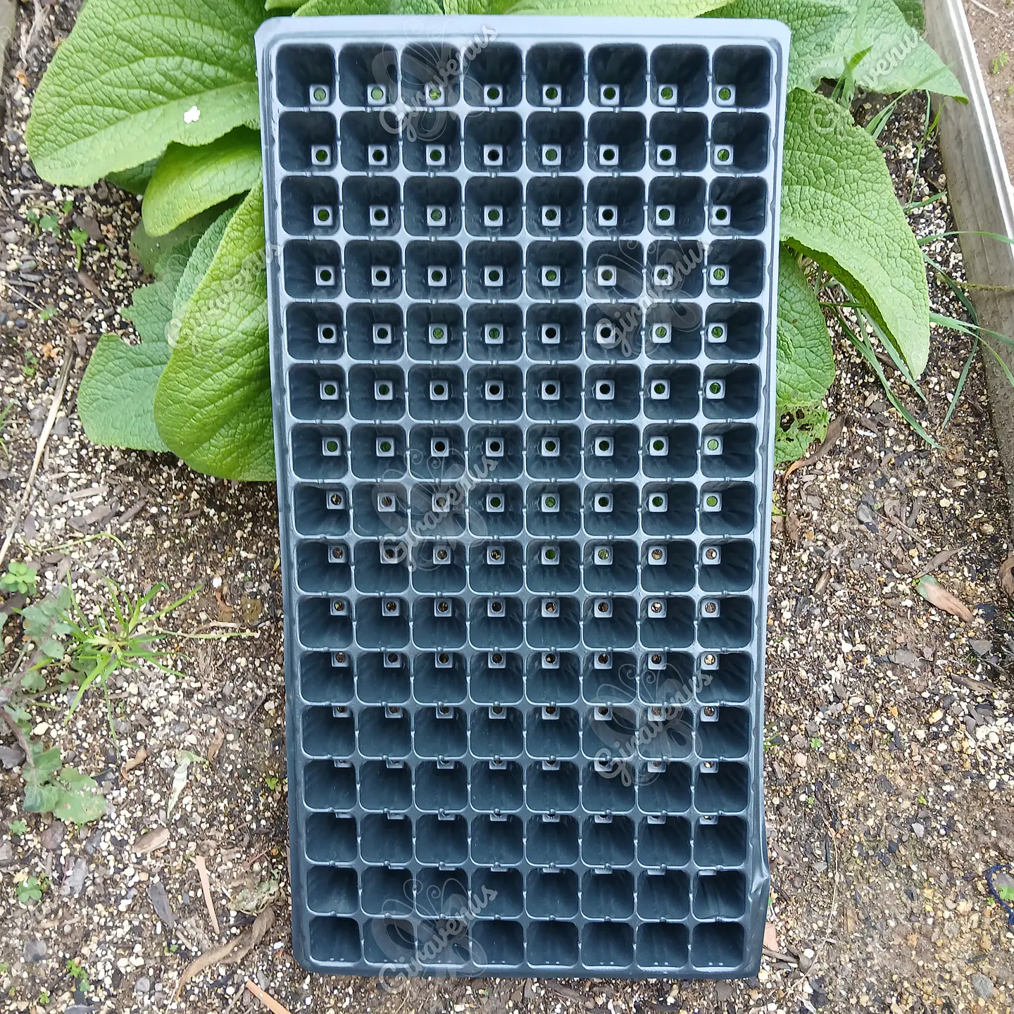 Bandeja para almácigos 128 cavidades - Bandeja de germinación de semillas 1