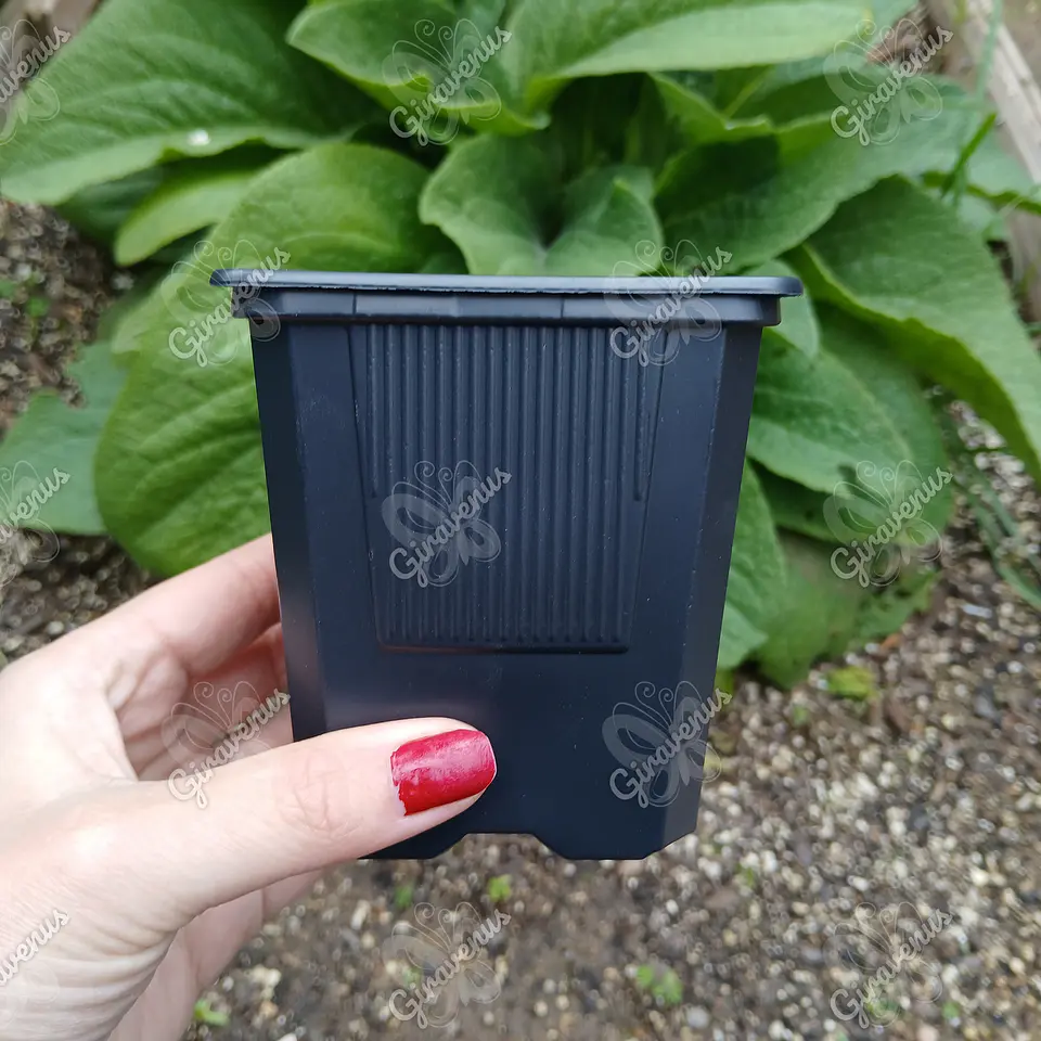 Maceta plástica para plantas  1