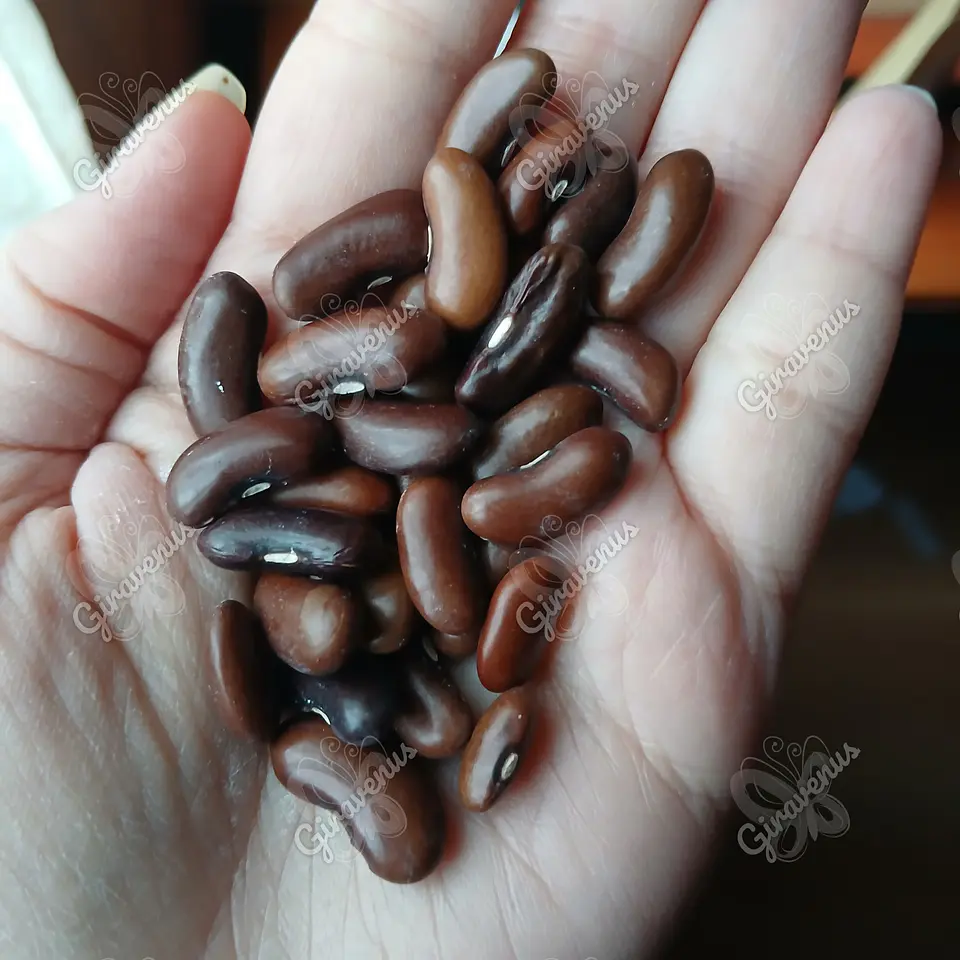 Semillas de Poroto Magnum  1
