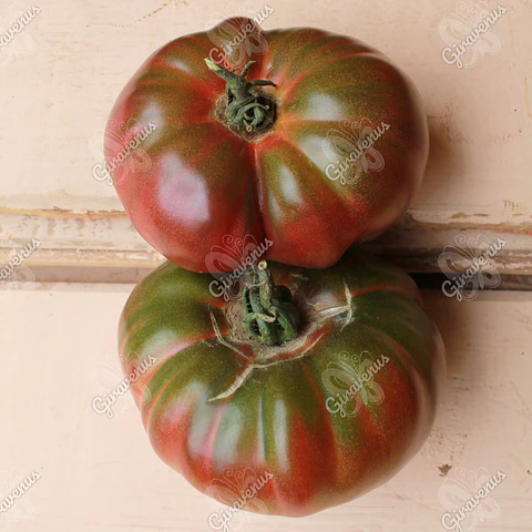 Semillas de Tomate Ananas Noire - Semillas Agroecológicas