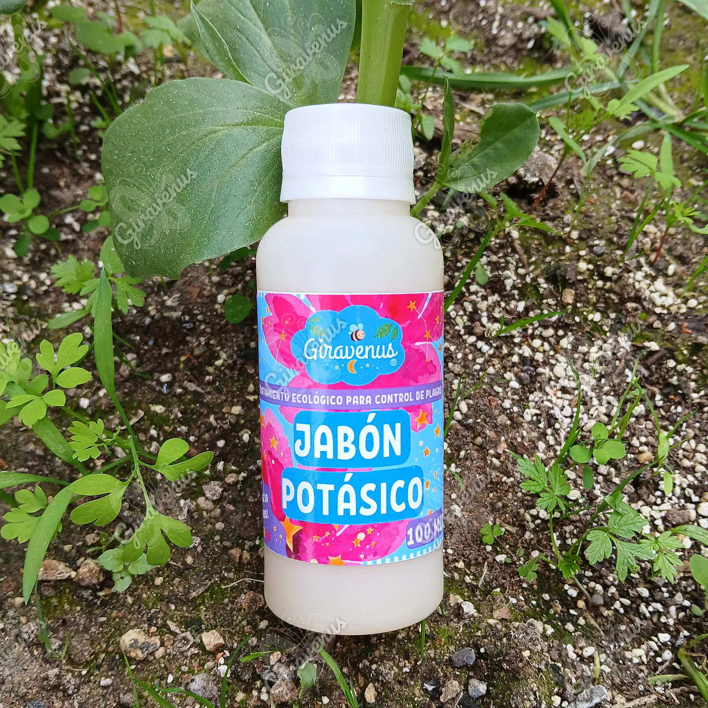 Jabón Pótasico 100 ML - Manejo Agroecológico de Plagas - Rinde 10 Litros 1