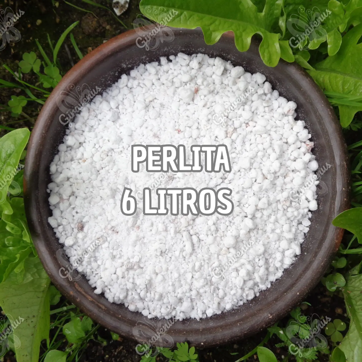 Perlita 6 Litros - Mejorador de Suelos 1